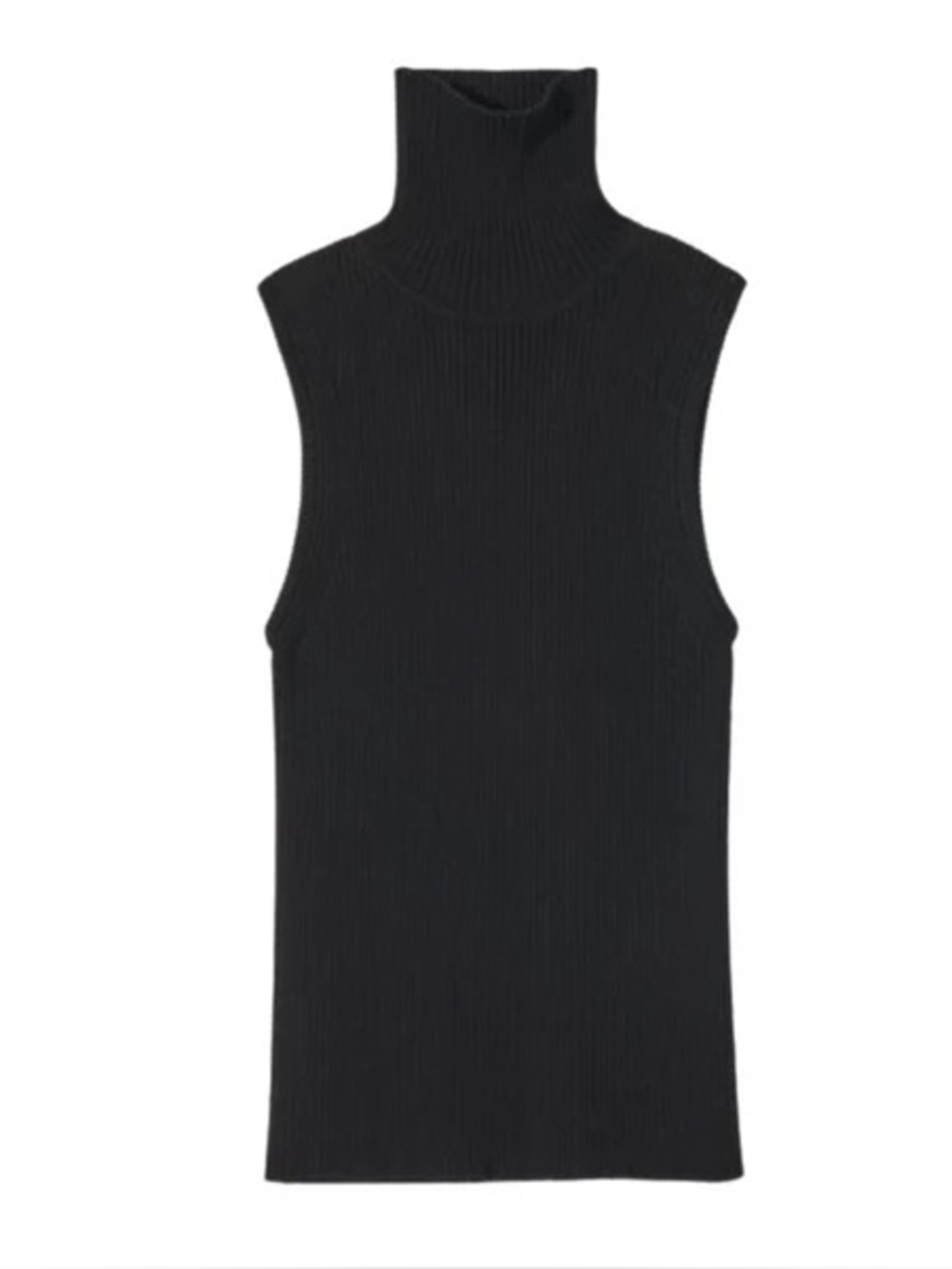 Zara ribbed turtle neck